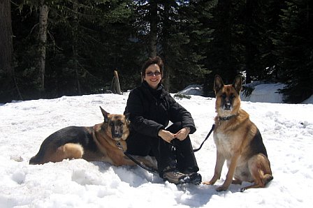 Dogs